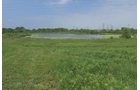 Pond on a farm in Lake County, Indiana - LAND AUCTION - 147+/- ACRES OFFERED IN 3 TRACTS IN LAKE COUNTY, INDIANA